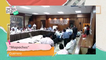 ¡Aguas con los mapaches!