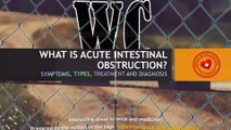 What is acute intestinal obstruction? Types, symptoms and treatment