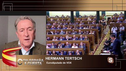 HERMAN TERTSCH: Hay que movilizarse en cintra de todo lo que hace el gobierno para amordazarnos