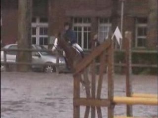 Pierre & Perle Cl2 16/03/08 Sheva