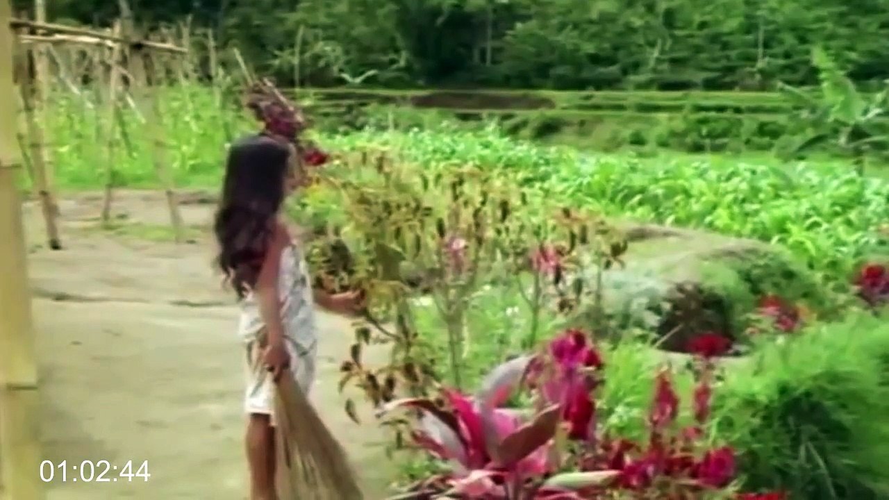 Gadis (1980)