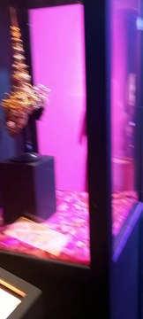 La Foire d'Automne Grenoble à Alpexpo #France #foiredegrenoble #Alpexpo #foireexpo #foiredefrance (177)