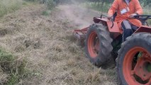 Articulated tractor Agria | Scarifying olive trees after going through the brushcutter (weeding)