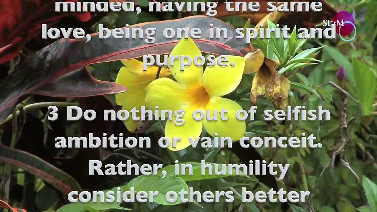 PEACEFUL WORDS OF FREEDOM IN CHRIST