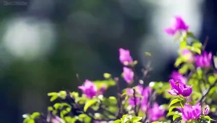 Love Catcher in Bali (2022) EP2 (Eng Sub)