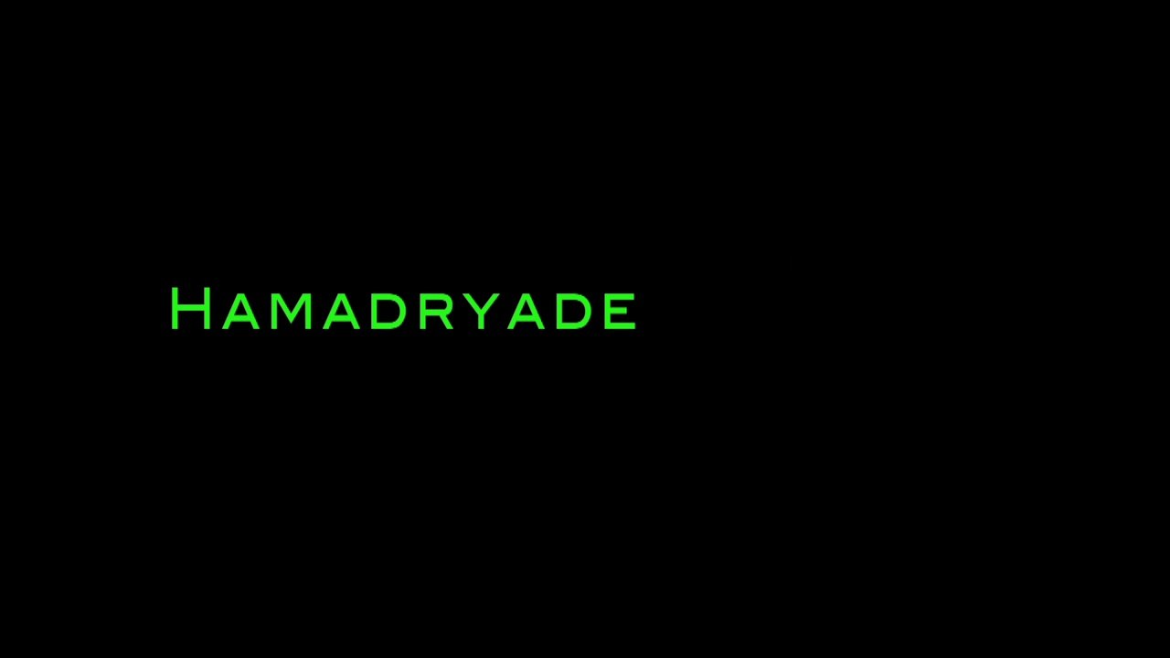 HAMADRYADE