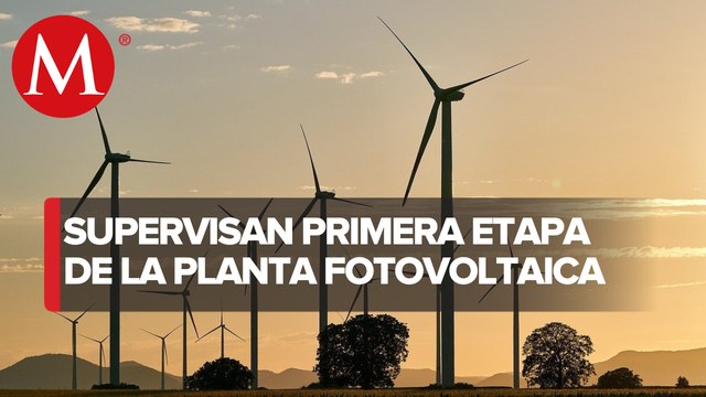 Energías limpias dejarán ahorro de más de 3 mdp en Central de Abasto de CdMx