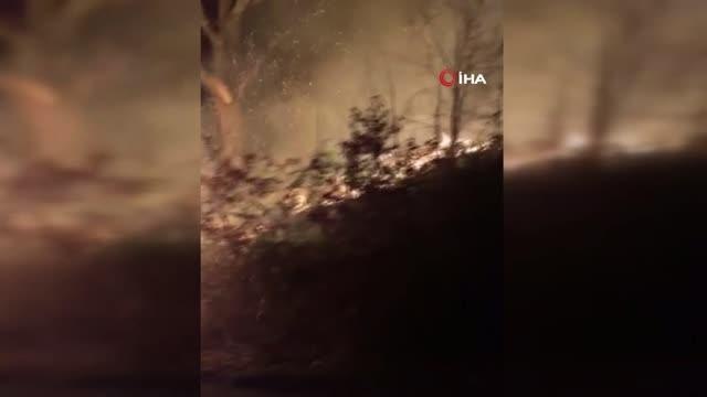Ekipler seferber oldu: Ormanlık alanda çıkan yangın söndürüldü