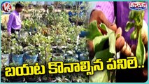 Govt Teacher Farming Vegetables In House Terrace | Nizamabad | V6 Weeend Teenmaar