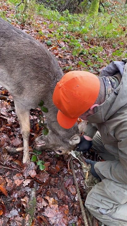 Father And Son Help Rescue Deer