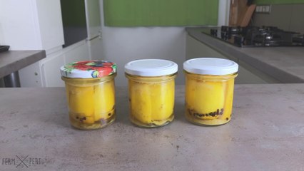 [EN] Fermented Lemons