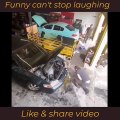 Laughter Frenzy Compilation: The Most Hilarious Videos of the Month Guaranteed to Make You LOL