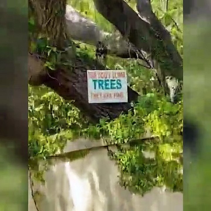 Get ready to Laugh Out Loud with the Funniest Animal Videos of 2022!