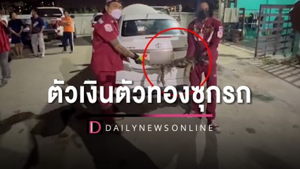 ตัวเงินตัวทองซุกรถ-วิ่งหนีเข้าบ้าน คอหวยแห่ส่องเลข "รถ-บ้าน" | HOTSHOT เดลินิวส์ 23/01/66
