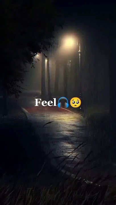 WhatsApp status