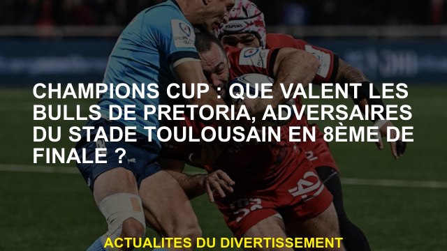 Coupe des champions: Quels sont les taureaux de Pretoria, adversaires du stade Toulouse en 8e finale