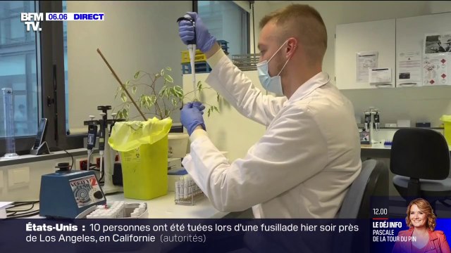 L'inquiétude des soignants face à la consommation de gaz hilarant chez les jeunes