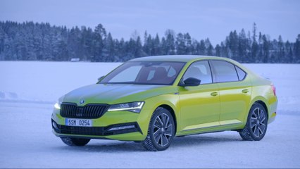 The new Skoda Superb Sportline Design in Dragon skin