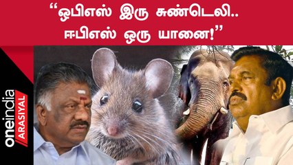 OPSஐ எங்களுடன் ஒப்பிடுவதையே அவமானமாக பார்க்கிறோம் - Dindigul Srinivasan