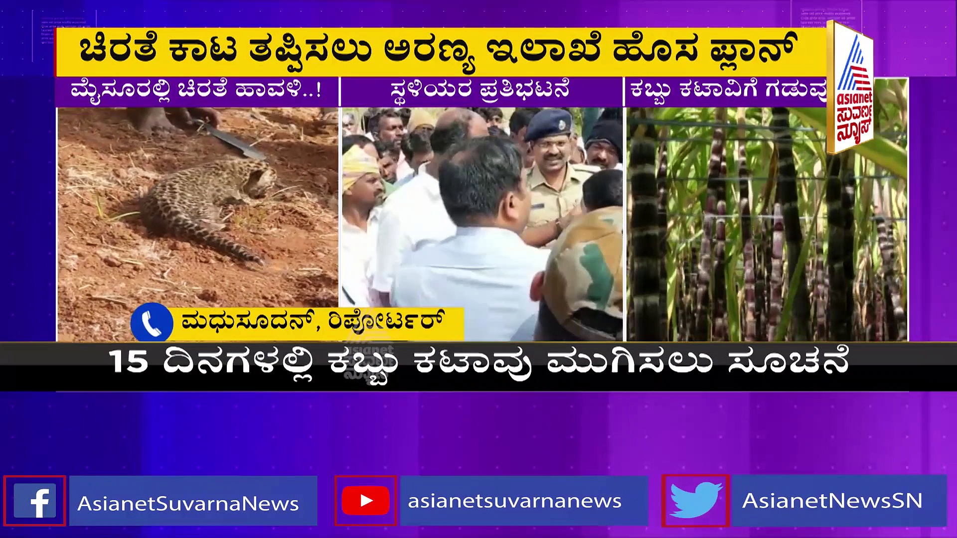 ಮೈಸೂರಿನಲ್ಲಿ ಚಿರತೆ ಹಾವಳಿ: 15 ದಿನಗಳೊಳಗೆ ಕಬ್ಬು ಕಟಾವಿಗೆ ಡಿಸಿ ಸೂಚನೆ