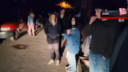 Bursa’da bir kadının 6 ayda 6 kedisi öldürüldü