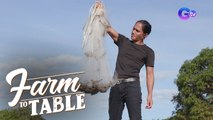 The secret behind why shrimp is expensive! | Farm To Table