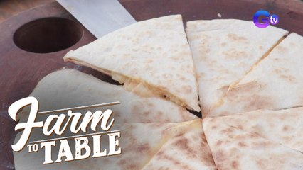 Cheesy Quesadilla to drive you nuts! | Farm To Table