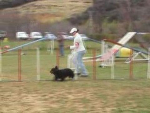 MOV052-Carsan 2008-03-GPF 2EXC sans fautes