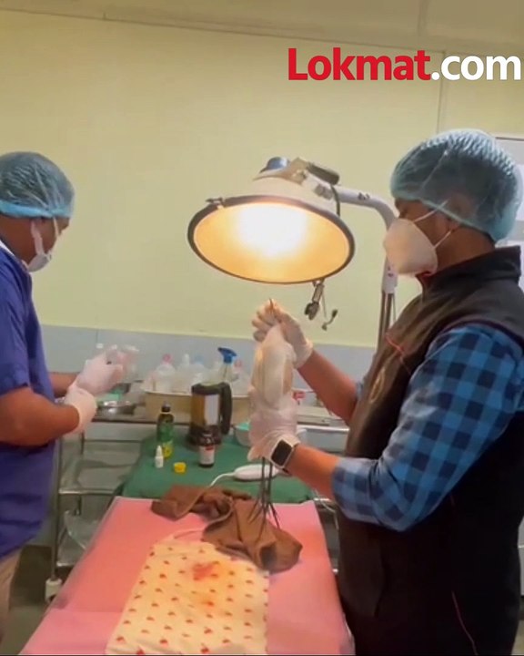 तुमच्या एका चुकी मुळे पक्षांचा जीव धोक्यात