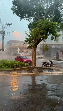Storm Uproots Tree