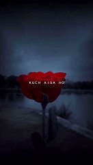 Mein phir bhi tumko chaunga