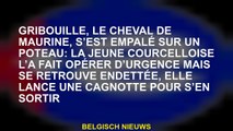 Griblouille, le cheval de Maurine, s'est empaillé sur un poste: le jeune Courcelloise l'a fait fonct