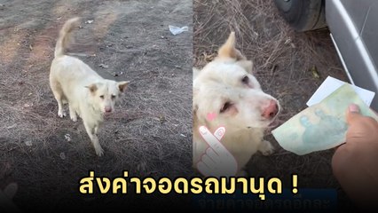 เอ็นดู.. มาเฟียลานจอด ใครจอดรถต้องเจอไถเงิน แต่พอรู้เอาไปทำไร ยิ้มแฉ่งเลย