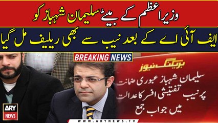 AC dismisses Salman Shehbaz’s interim bail plea in money laundering case