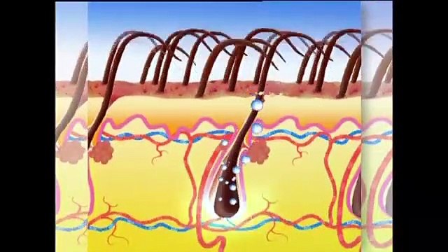 Why Choose Australian Hair and Scalp Clinic for Hair Loss Treatment