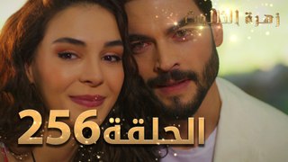 مسلسل زهرة الثالوث - الحلقة  256 ｜ مدبلج ｜ الموسم الثاني - الحلقة الأخيرة