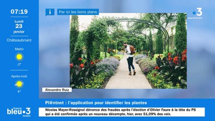 Plantnet : une application pour identifier les plantes qui vous entourent