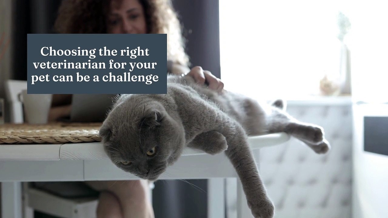 Saltwater Animal Hospital Des Moines, WA video Dailymotion