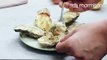 Épatez vos proches avec ces délicieuses huîtres gratinées au parmesan, un régal !
