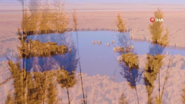 Kayseri Doğa Koruma ve Milli Parklar Müdürü Harun Dindar: İklimlerin çakıştığı noktada bulunması bitki ve hayvan çeşitliliğine yansıyor