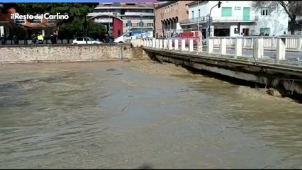 Video herunterladen: Maltempo nelle Marche, il video della piena del fiume Misa a Senigallia