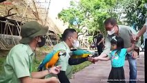 Jokowi Dukung Solo Safari Jadi Destinasi Wisata Baru