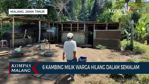6 Kambing Milik Warga di Kota Malang Hilang Dalam Semalam