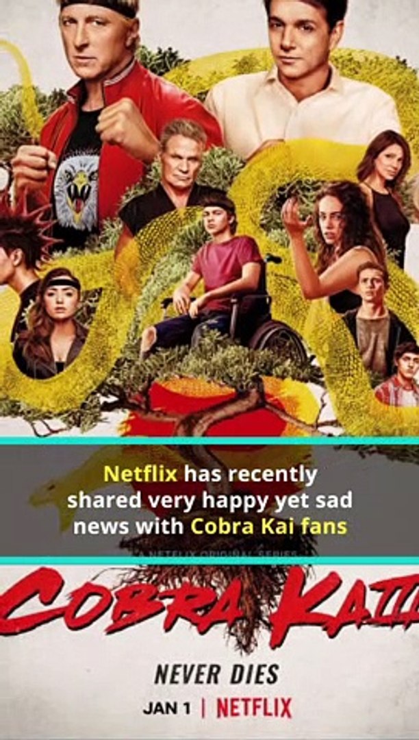 Cobra Kai Season 6 Official Trailer - Netflix - video Dailymotion