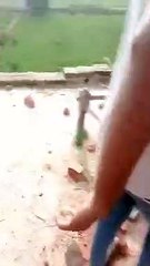 राज्यमंत्री जाहिदा खान की ससुराल में हंगामा, 15 मिनट तक पथराव