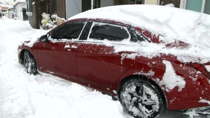 모레까지 대설·한파 예상...행안부, 중대본 1단계 가동 / YTN