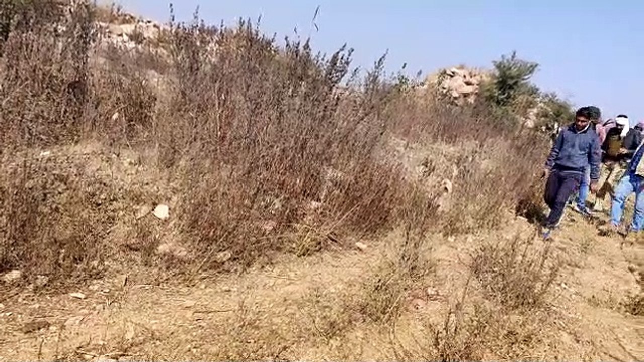 मध्यप्रदेश के तीन चरवाहों को डकैतों के चंगुल से...