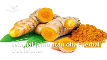 8 Khasiat Temulawak untuk Atasi Masalah Kesehatan