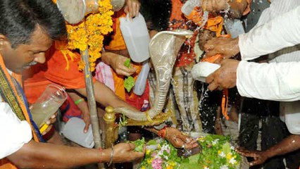 भगवान शिव की पूजा करते समय इन चीजों को गलती से भी ना करें शामिल, जाने क्या है कारण | Boldsky