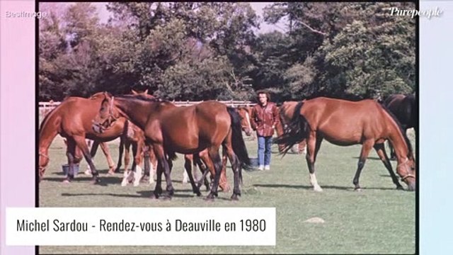 Ca coûte une fortune : Michel Sardou très déçu , cette passion luxueuse qu'il a fini par abandonner